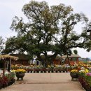 구사마을 이미지