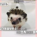 따봉 이미지