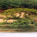 수산리-8 이미지