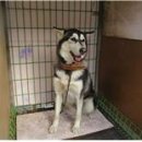 당감1치안센터 이미지