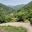 차시배지민박 Daum카페