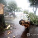 가로수주유소 이미지