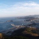 진달래약국 이미지