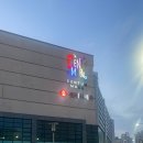 속초 회 맛집 포장맛집 회시태그 후기!