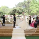 숲속웨딩공원