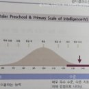 1%학원 | 웩슬러 지능검사 시기 만 5세 유아 지능 상위1%, 언어이해 0.1% 결과 후기 KAGE 영재교육학술원 목동본원