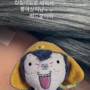 터알주