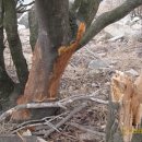 (유)다도해환경 이미지