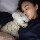 보라 스포츠서울