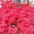 뉴설악공인중개사사무소 이미지