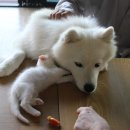 쏠베르펜션 이미지