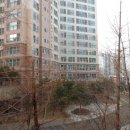 양덕동108 이미지