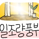 김시은공인중개사사무소 이미지