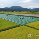 들녘 옷 이미지