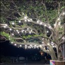 색달동-15 이미지