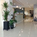 W창본사