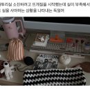 루미2발전소 | 2026-01-3, 나야, 재도전.