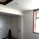 쁘니애견 이미지