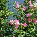 우정농원가든 이미지