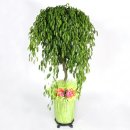 쌍용새마을목욕탕 이미지