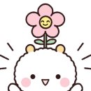 아찌살롱 이미지