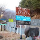 (하동여행) 청학동·배달성전 삼성궁 마을 주변 산책!