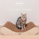 더클로우 | 고양이 발톱 관리 기능성 스크래처 더동글 클로우케어 먀오 스크래쳐 후기