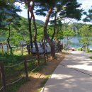 나룻터가는길 이미지