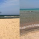 대나무집펜션 이미지