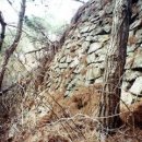 주생면 낙동마을 이미지