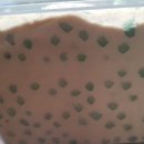 개복숭아 효소 여쭤봐요 이미지