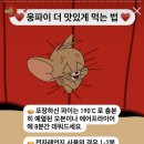 웅파이 이미지