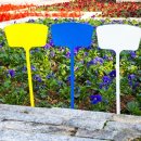 밀리언 로즈 가든 이미지