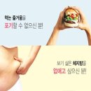 와이디컴퍼니(YD company)