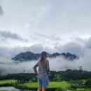 소노펠리체 컨트리클럽 델피노 | 미시령 옛길 바이브, 울산바위 뷰 _ 소노 펠리체 컨트리클럽 델피노, del pino [소나무]