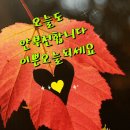 구봉산 단풍 이미지