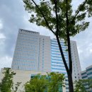 새천지약국 이미지