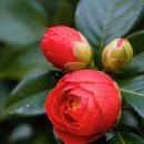 잠시 쉬어 이미지