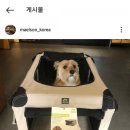 멜슨하우스