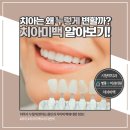 하얀수치과의원 이미지