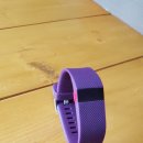 Fitbit Charge HR large size 팝니다 이미지