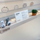 야옹아놀자 마곡점 이미지