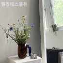 필라테스물든 - 15190 | 필라테스물든