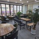 안 수제한방차