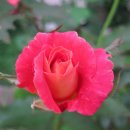 은평연세정형외과의원 이미지