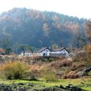 구룡목장2 이미지