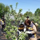 정안마을 이미지