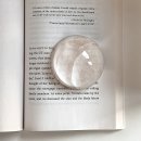 the 굿 dog | # 26年 2月 결산