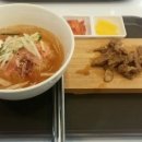 하루국시101