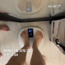 수내365약국 | 궁금했던 마운자로, 드디어 해보다! 일주일차 후기